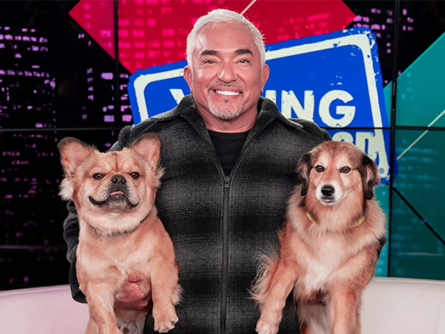 Cesar Millan's Dos & Don'ts of Dog Care